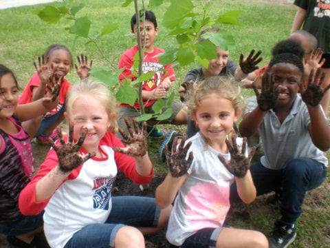Kids showing their muddy hands after planting a tree