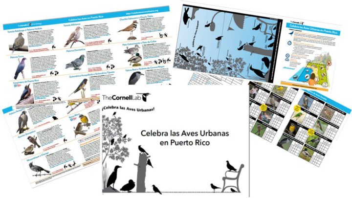 Puerto Rico – Educational and Outreach Initiatives for Latin America ...
