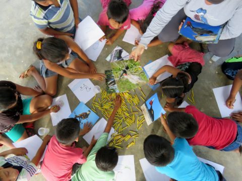 Children laying in a circle drawing pictures of birds