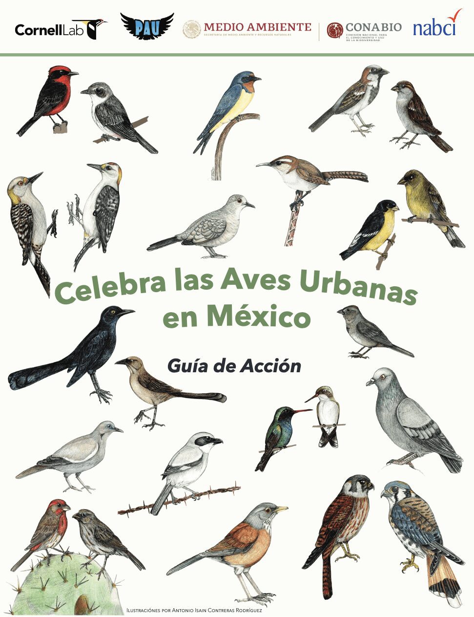 imagen de la portada de la  Guía de Accíon para México