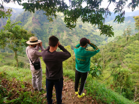 Three people birdwatch from a hill