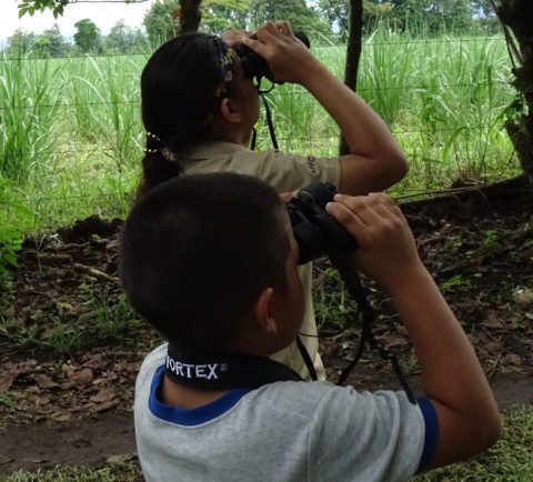 Two kids birdwatching with binoculars