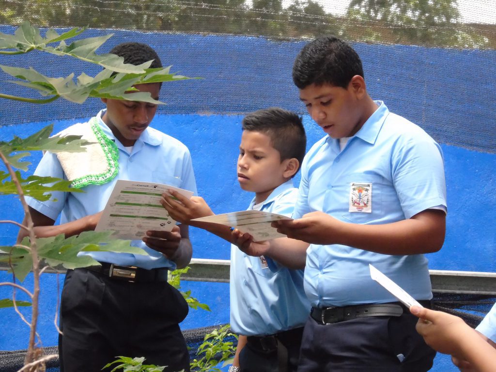 Tres niños mirando una guía educativo