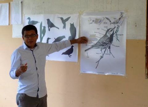 Man labels a diagram of a bird on a wall posters