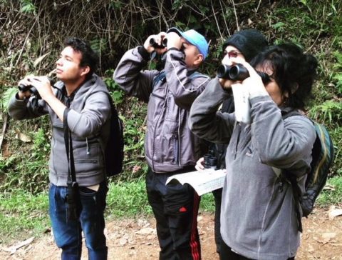 Four people birdwatching with binoculars