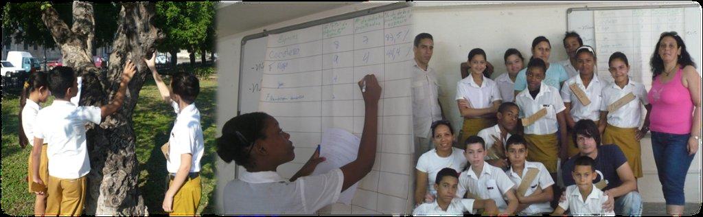 Una composición de tres imágenes muestra de izquierda a derecha: un grupo de jóvenes examinando un árbol, una niña escribiendo en una pizarra, un grupo de estudiantes