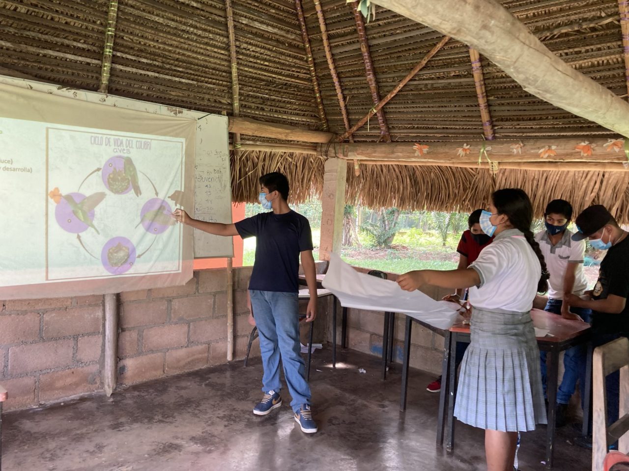 A boy in front of whiteboard with a projection of the lifecycle of a hummingbird