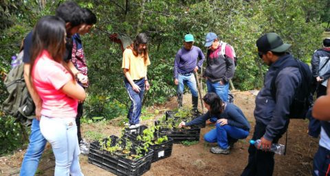 A group of people standing around saplings