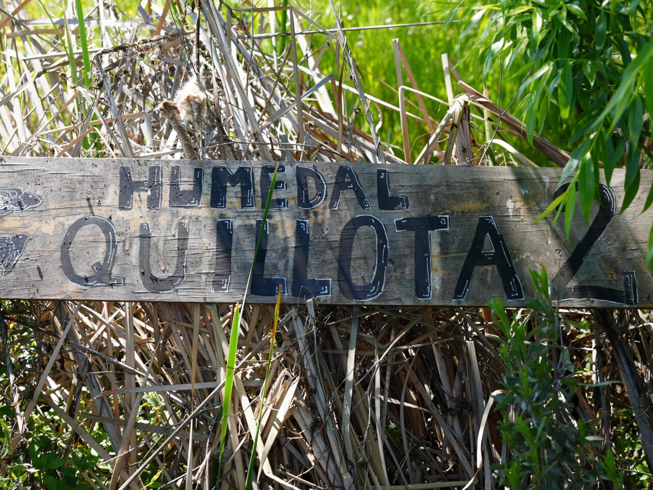 A sign that reads "Humedal Quillota"