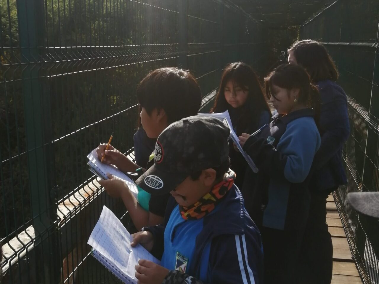 Students outdoors filling out observation logs