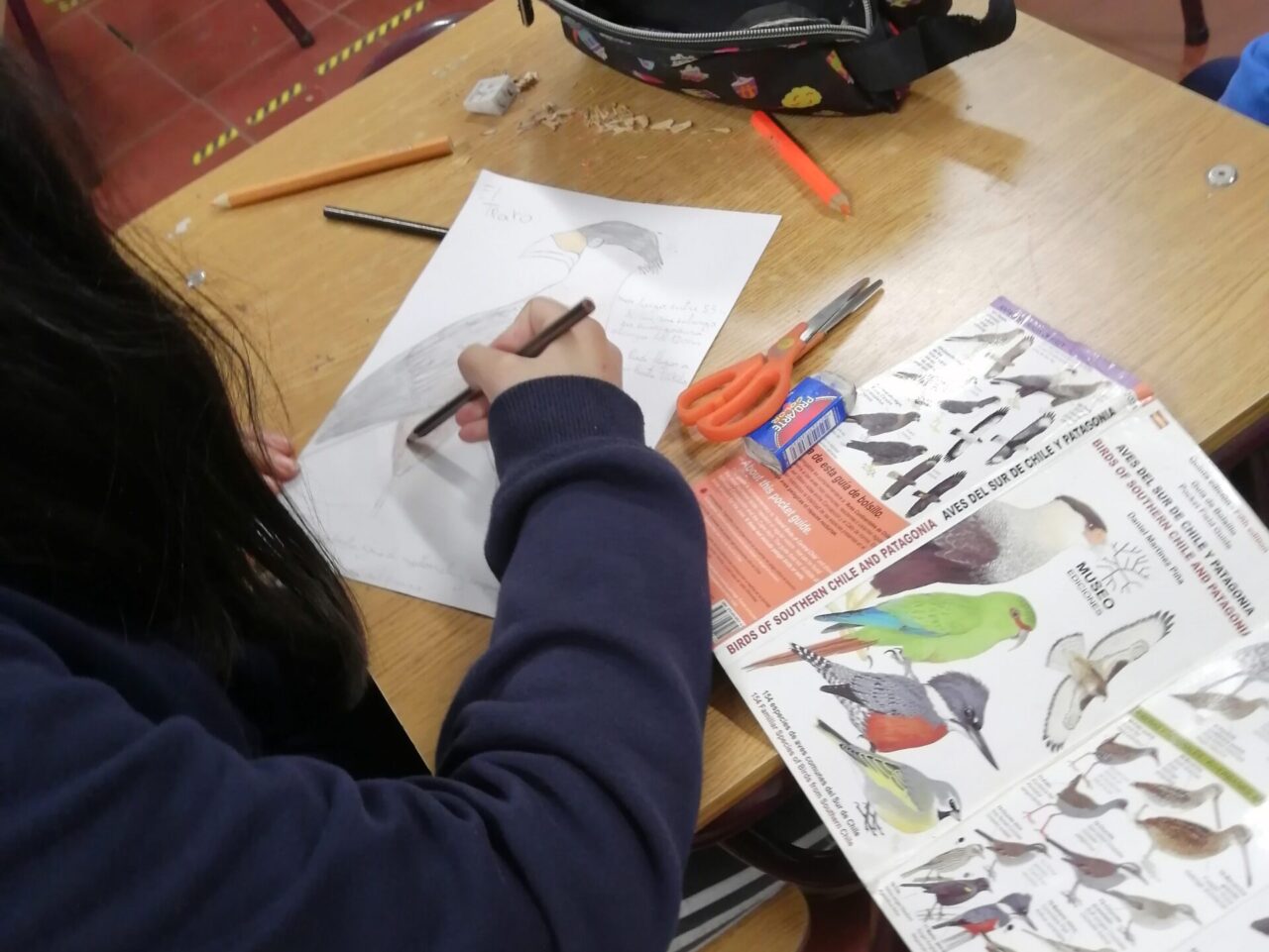 Student coloring in a bird