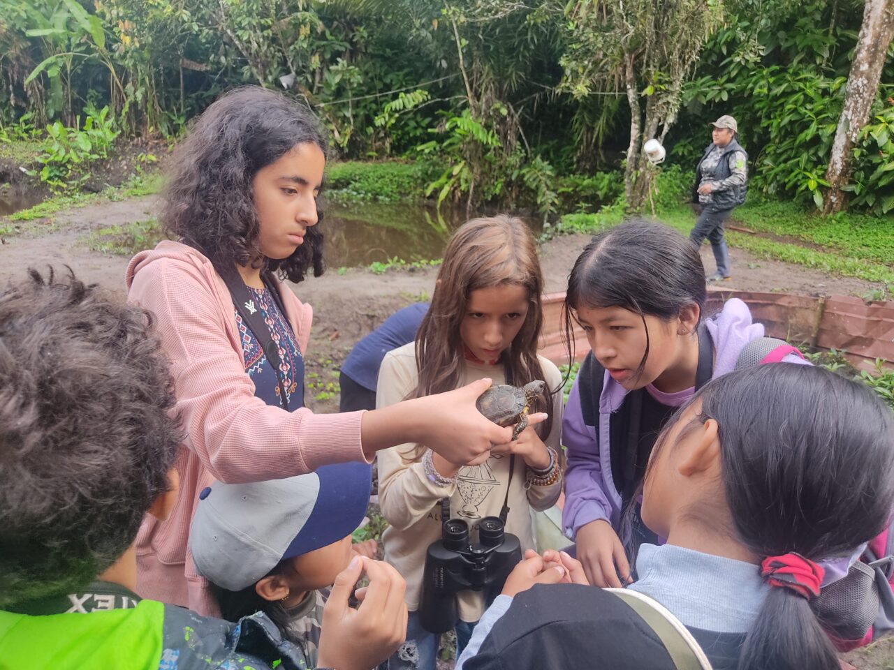 Children closely examine a turtle held by one of their peers during a nature activity