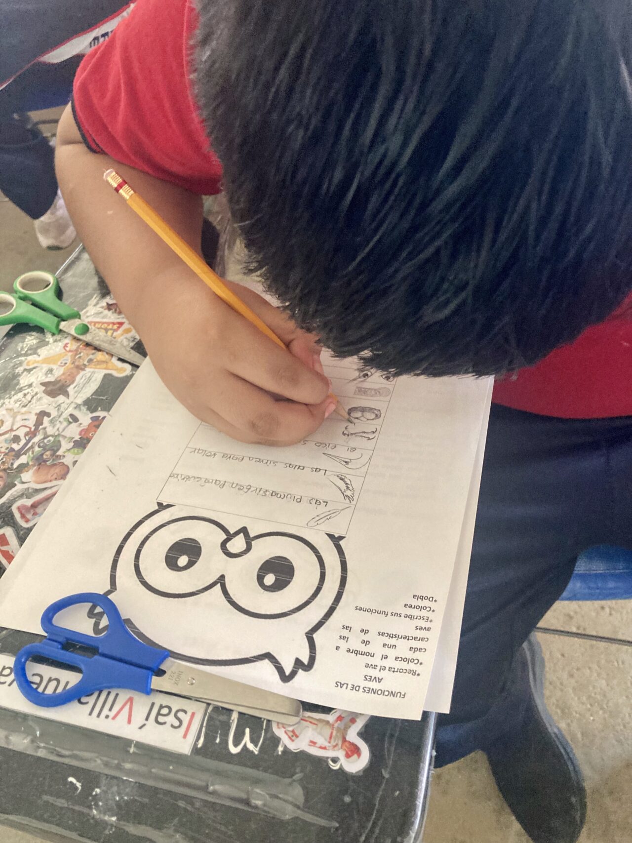 A young student in a red uniform is working on a bird-related worksheet at their desk. The worksheet features an owl illustration and a matching activity related to bird functions. The student is using a pencil to complete the task