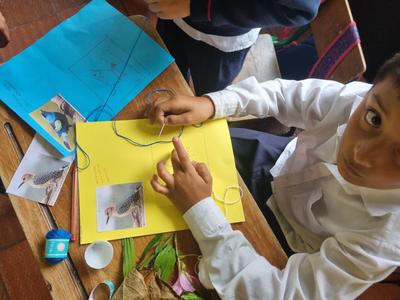 Un estudiante está trabajando en una hoja de papel amarilla con una especie de pájaro pegado con cinta adhesiva. Sobre su escritorio hay flores. Él está mirando a la cámara y sosteniendo un trozo de hilo azul.