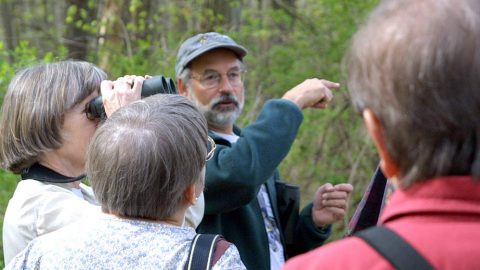 Ken Rosenberg leads a bird walk, by Miyoko Chu