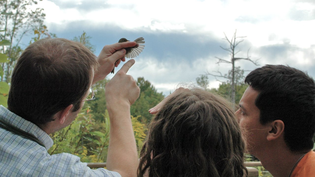David Bonter shows students wing feathers